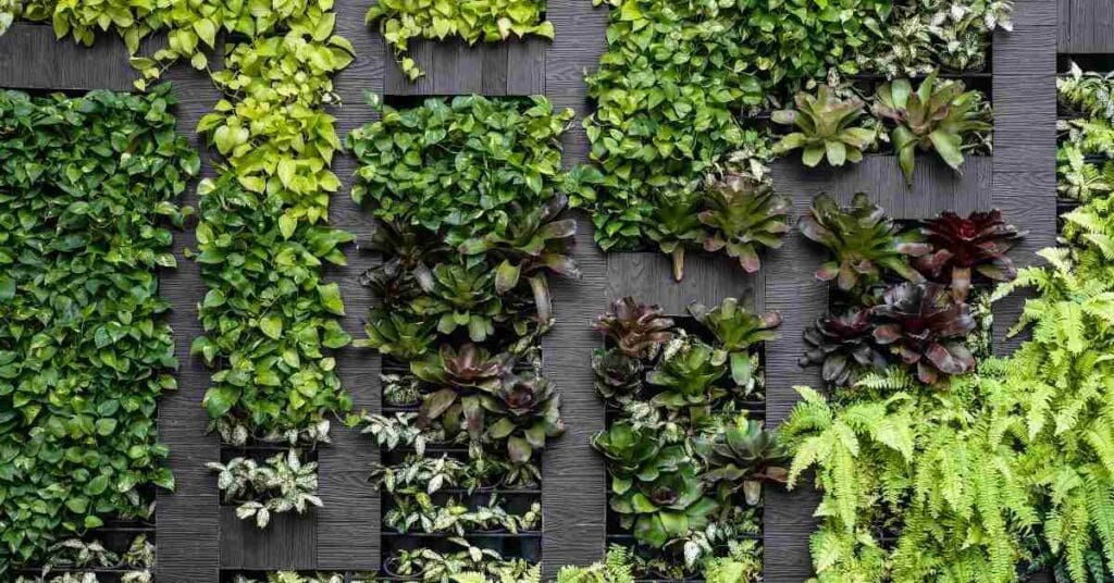 Eden Aeroponics Releases Innovative Indoor Vertical Gardens 7 Design 31 7