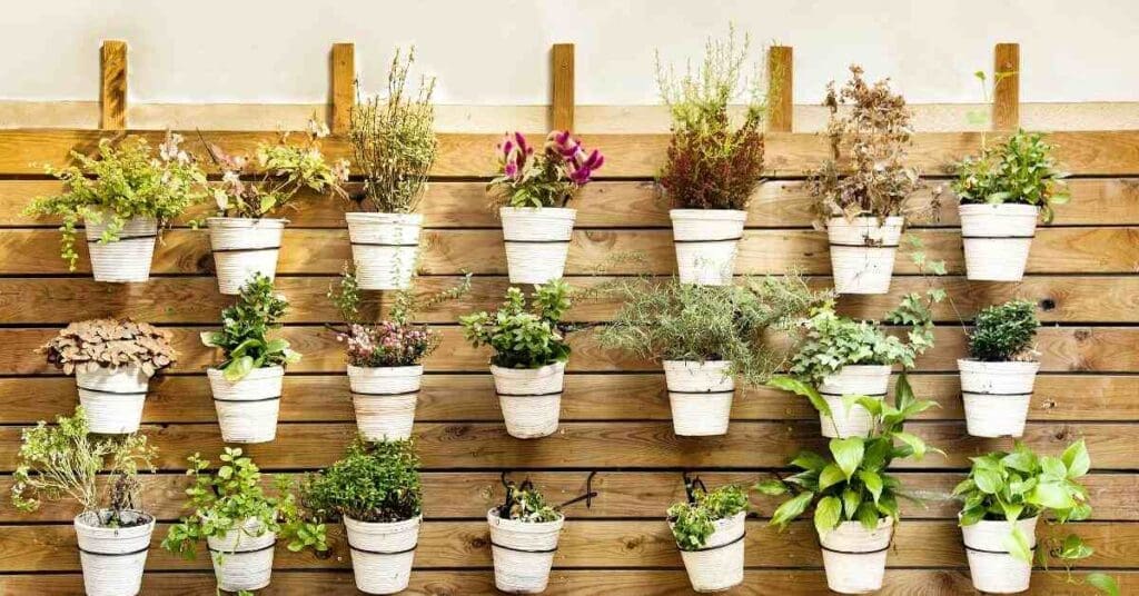 Eden Aeroponics - Vertical gardening