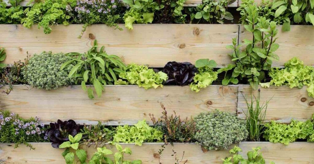 Eden Aeroponics Gardening