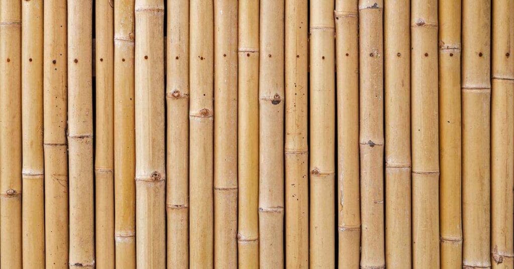 Sustainable Timber Options for Internal Wall Cladding 6 bamboo wall