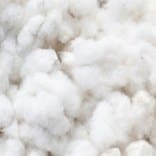 insulation