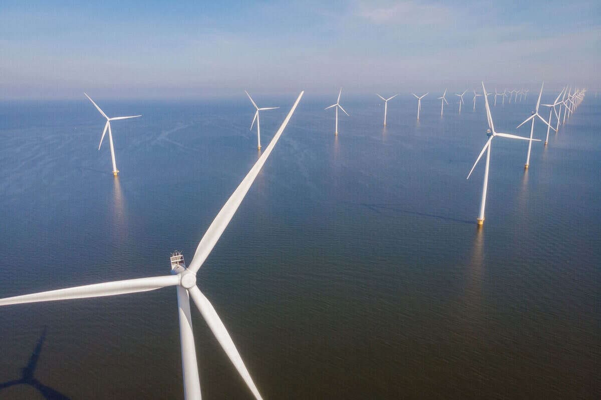 Trump’s Wind Energy Freeze Sparks Opportunity for Nova Scotia 2 offshore wind farm