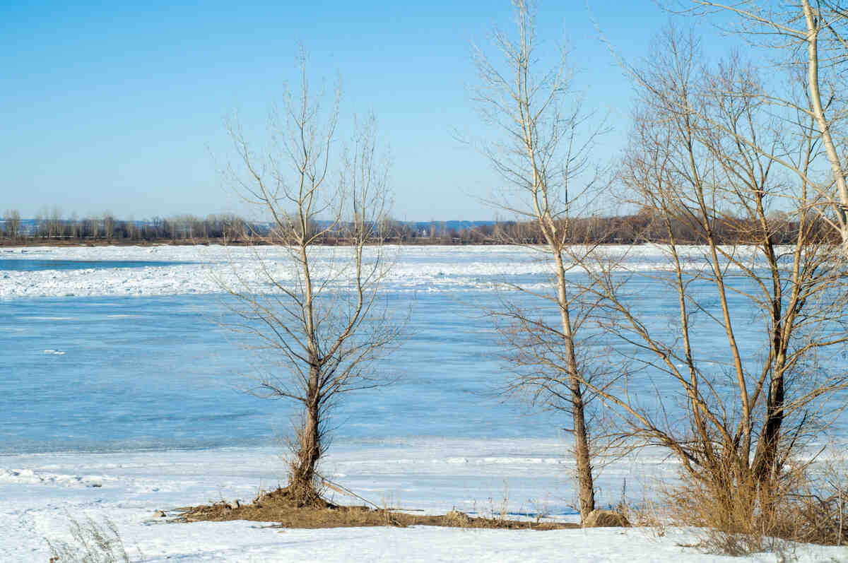 icy river
