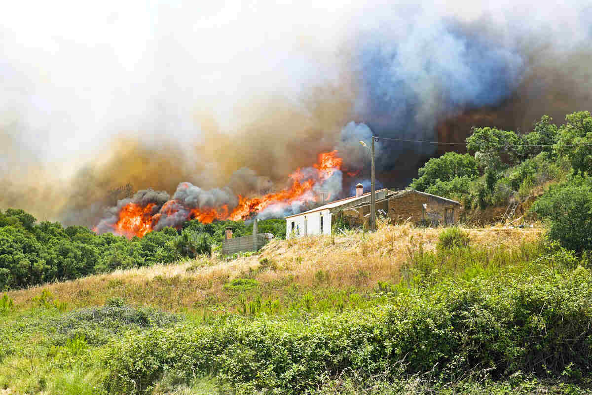 wildfire