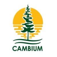 Cambium Consulting & Engineering 2 cambiumconsultingengineering logo