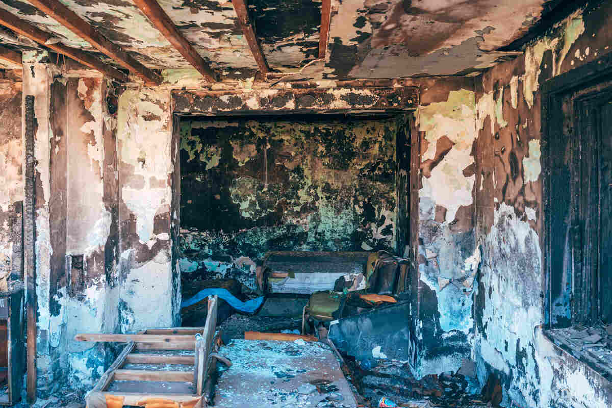 What Can and Can’t Be Saved after A House Fire: The Honest Truth 1 inside burned down house fire