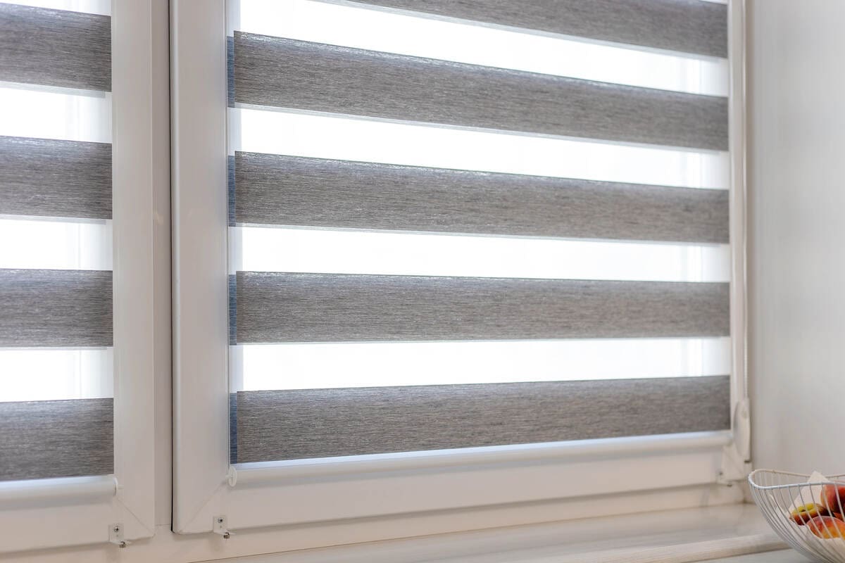 zebra blinds on house