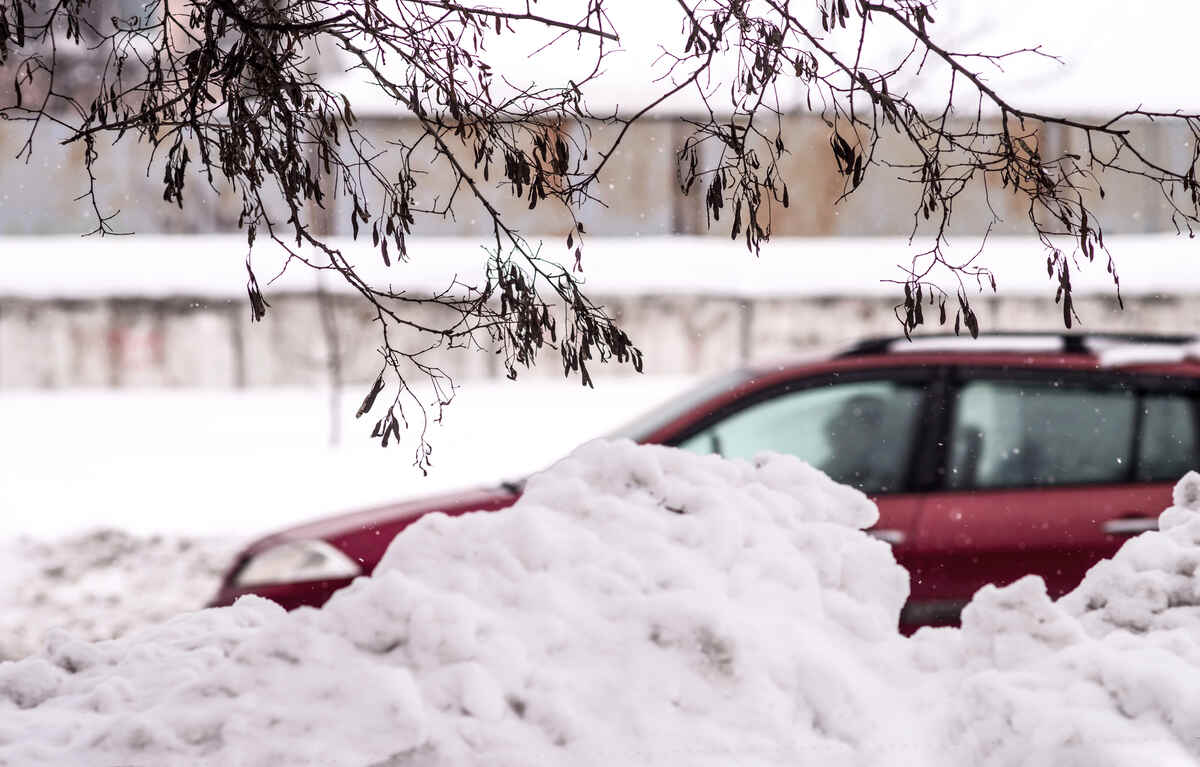 Winter Wind Protection: How to Prevent Snow and Ice Buildup 1 snow bank from wind - snow drift