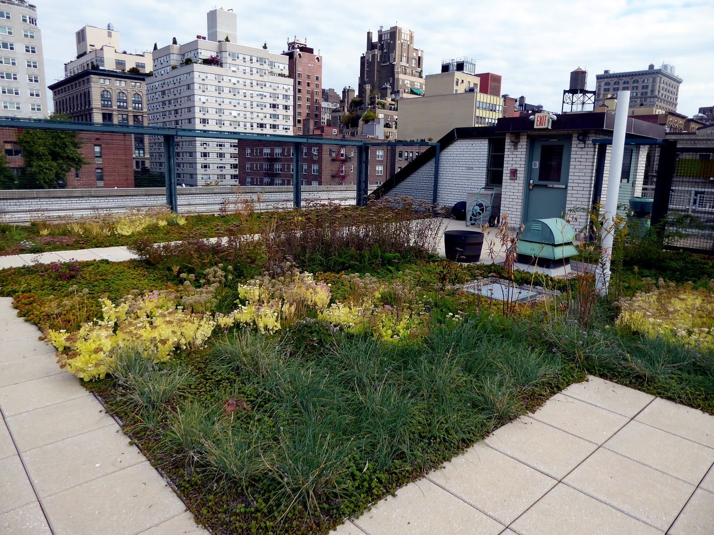 Green roof on top of industrial building - A guide to green roofs