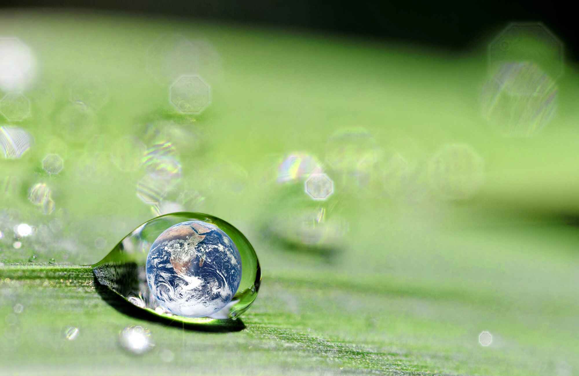 Green Building Materials Strategic Business Report 2024 2 Green Building Materials