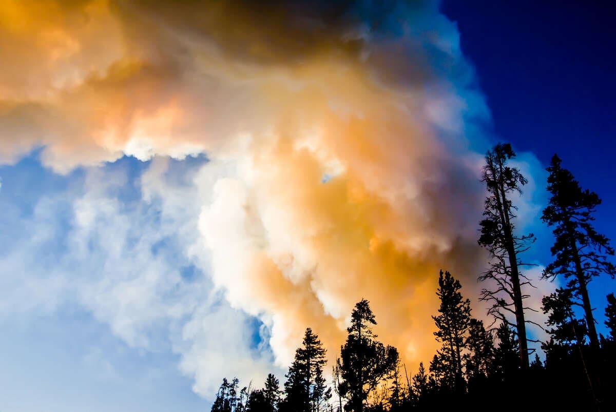 Haze-Free Haven: How to Prevent Wildfire Smoke from Entering Your House 1 wildfire smoke in Canada